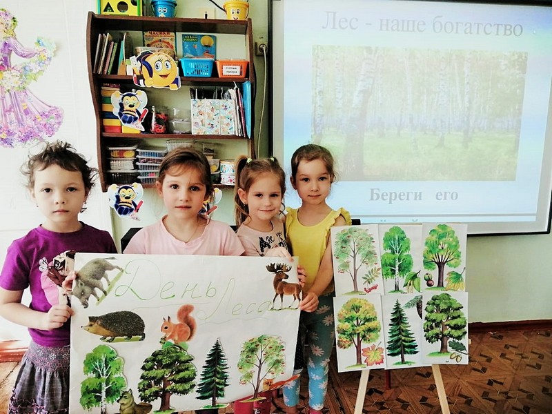 Акция день леса в детском саду. День леса в детском саду. Всемирный день леса в старшей группе. День леса в детском саду старшая группа.